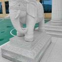 通辽 白麻花岗岩动物异形石雕-大象