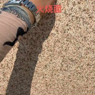 通辽黄金麻火烧面